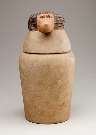 Canopic jars held the internal                  organs that were removed during mummification. This                  example, with its baboon-headed lid, held the lungs and                  was under the protection of the god Hapy, one of the                  Four Sons of Horus. 18th–20th Dynasty. Abydos.                  Metropolitan Museum of Art, New York.