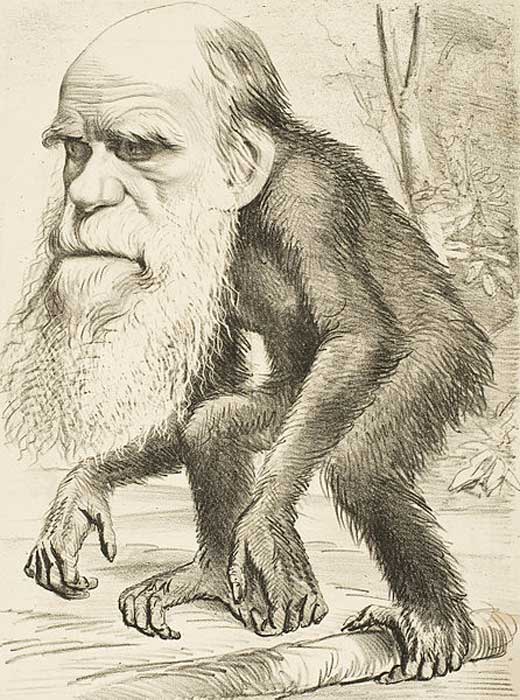 As evolution became widely accepted in the 1870s, caricatures of Charles Darwin with an ape or monkey body symbolized evolution.