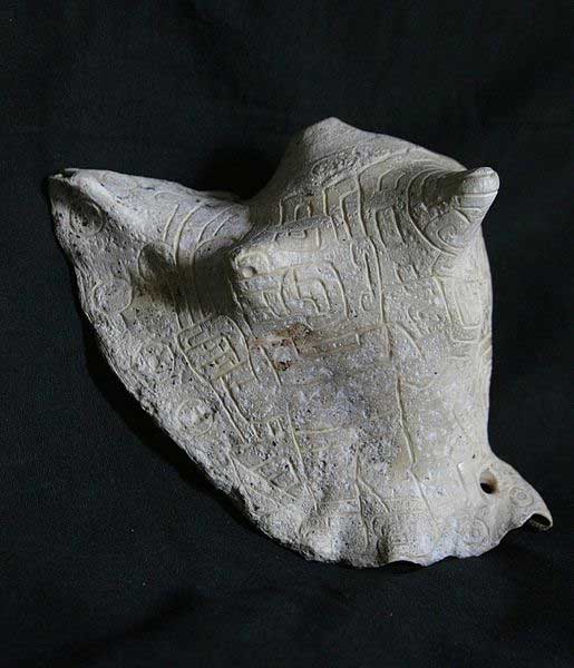 Engraved pututo (conch) Strombus shell, Chavin 1000-500 BC