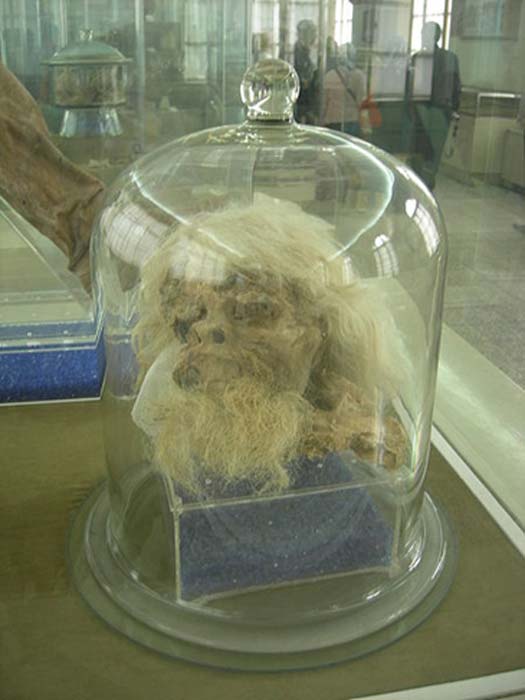Head of Saltman 1 on display at National Museum of Iran in Tehran.