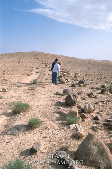 A close-up of the Khatt Shebib wall showing the lose boulders that were once stacked on top of each other to form a 1 to 1.5 meter-high wall.