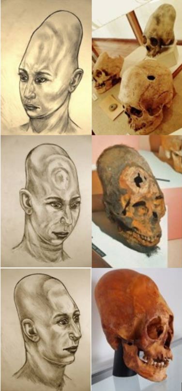 Mark Laplume’s artistic interpretations of elongated skulls from Bolivia (top) and Paracas, Peru