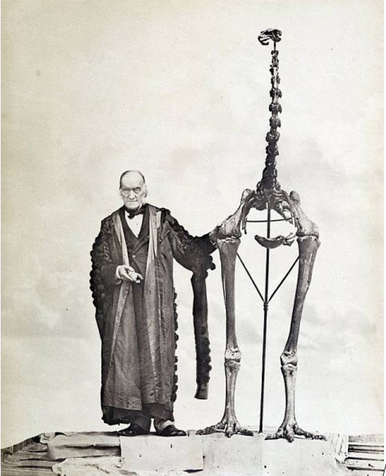 Sir Richard Owen standing next to a moa skeleton and holding the first bone fragment belonging to a moa ever found.