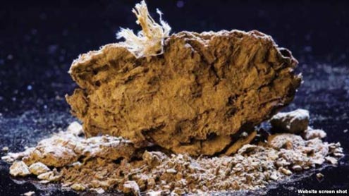 A 14,300-year-old human coprolite from Paisley Caves