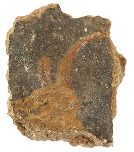 A possible bull's head in a fresco from Zippori, dating from the early Second Century AD 