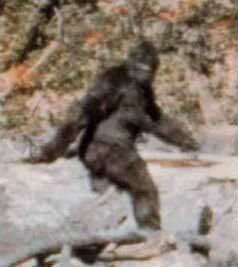 A color representation of bigfoot from the PGF. 