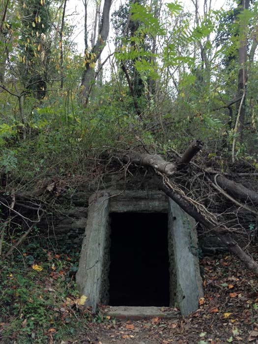 The entrance to the cave.