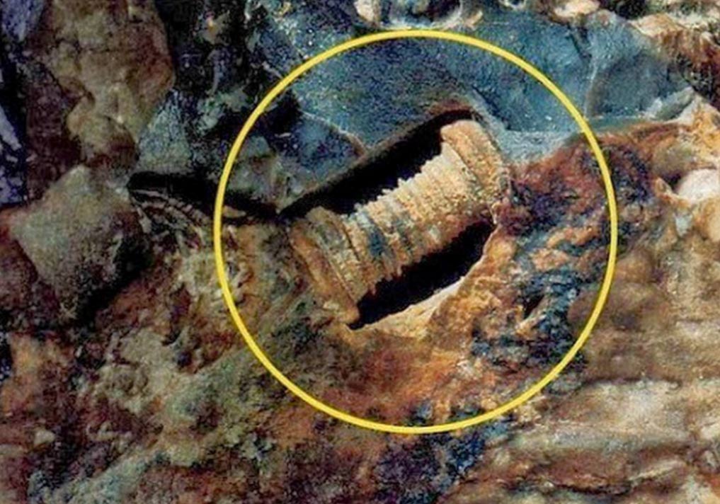 300 million-year-old screw