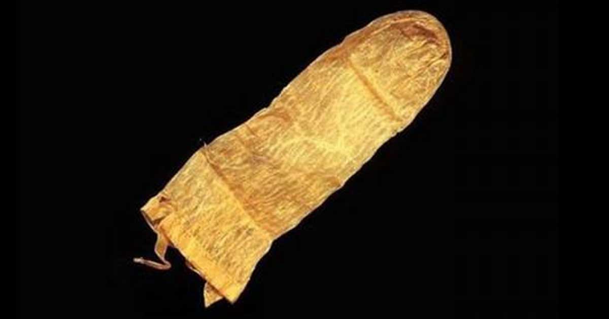 A 17th century condom from Sweden.