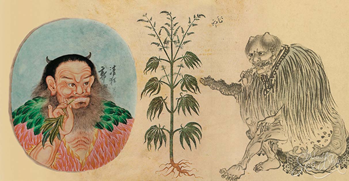 Cannabis: A Journey Through the Ages