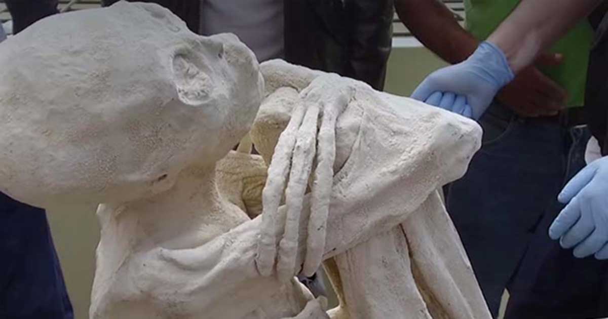http://www.ancient-origins.net/sites/default/files/field/image/Mummified-Humanoid.jpg