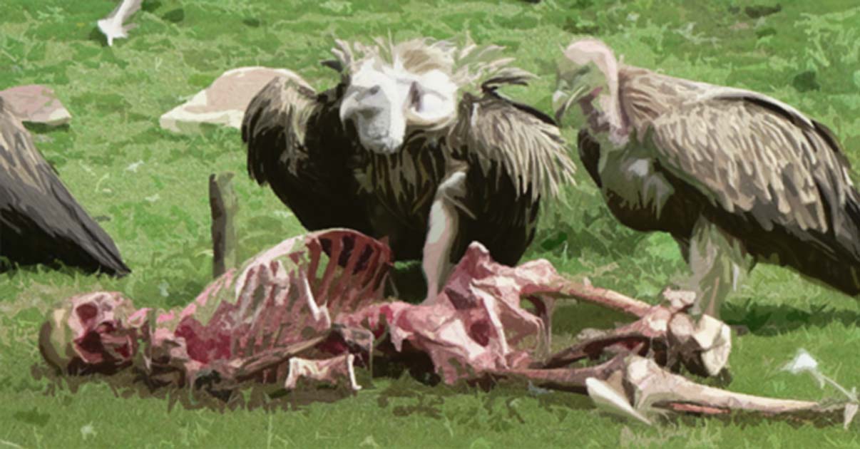 Buy research papers online cheap sky burial essay