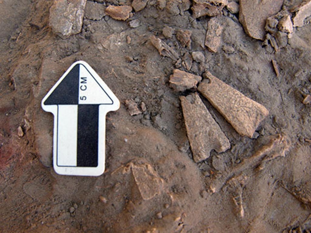 12.300 años-colgantes de hueso descubiertos en Alaska