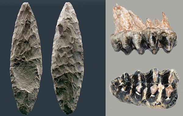 Tools of Pre-Clovis Inhabitants