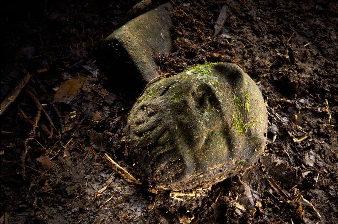 Una efigie 'hombre-jaguar', probablemente representa una combinación de un animal humano y el espíritu, es parte de un asiento ceremonial todavía enterrado, descubierto en un escondite en ruinas en la selva hondureña. 