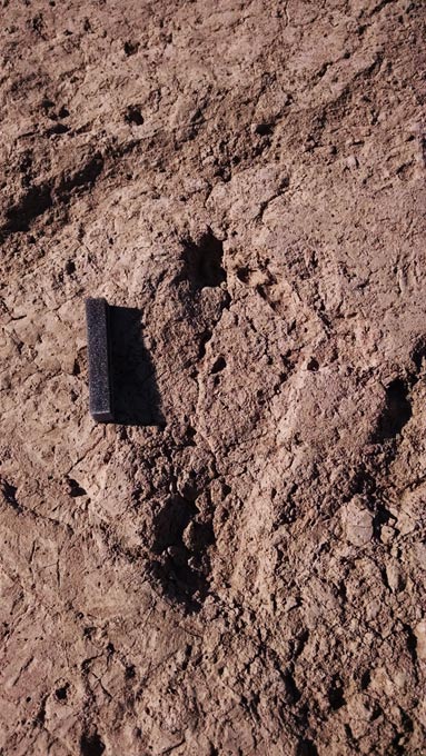 Another one of the footprints