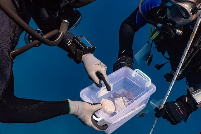 A diver carefully places the recovered marble fragment into a container for transport to the surface