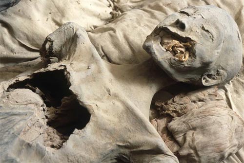 ¿Podría la momia de la "Dama Joven" ser Nefertiti?