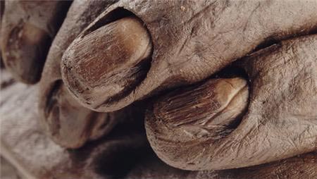 Primer plano de las uñas bien conservados de la antigua Croghan Hombre