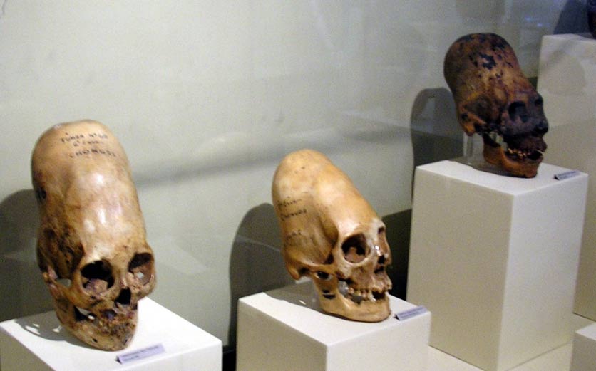 paracas-skulls_0.jpg?itok=iV2Bv6UG