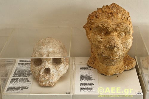 petralona-cave-skull-4.jpg