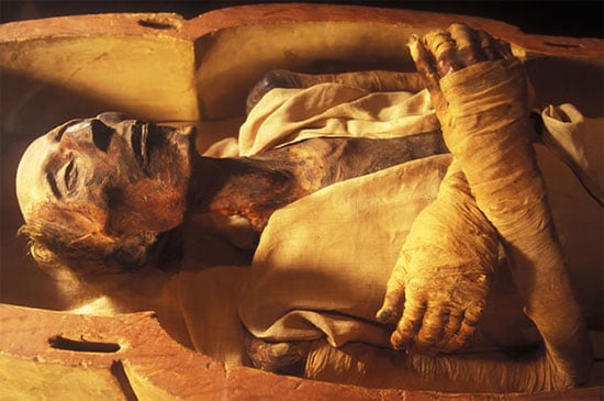 The mummy of Ramesses II