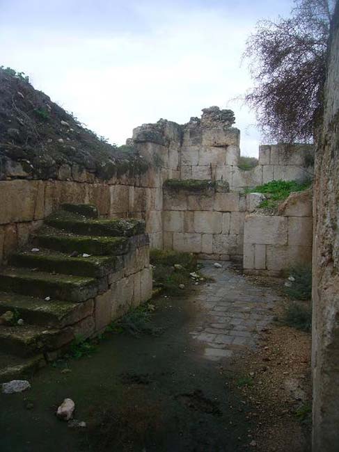 The ruins of the Minya palace, 2009.