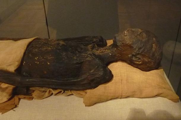 Princess Ahmose's mummy. Turin, Museo Egizio. 