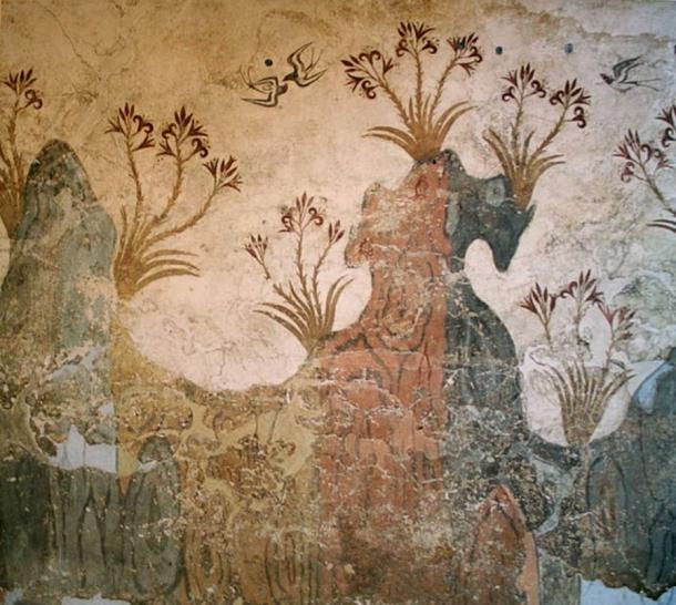 « Fleurs de printemps et hirondelles » détaillées dans une fresque délicate d'Akrotiri.