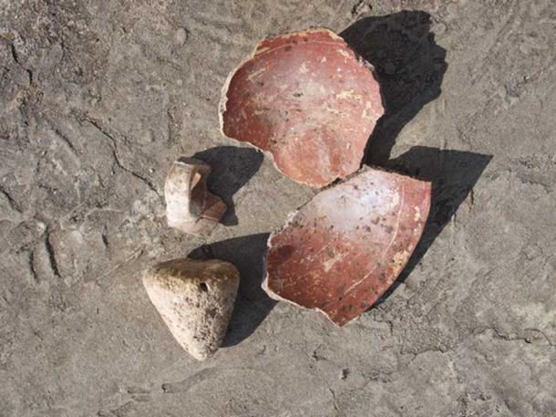 Amerindian pottery discovered on Barbuda.