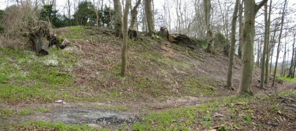 Amesbury, Wiltshire North bank of Blick Mead (Vespasian's Camp).