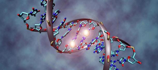 Ancestors Had More DNA Than We Do Now: Have we Devolved?