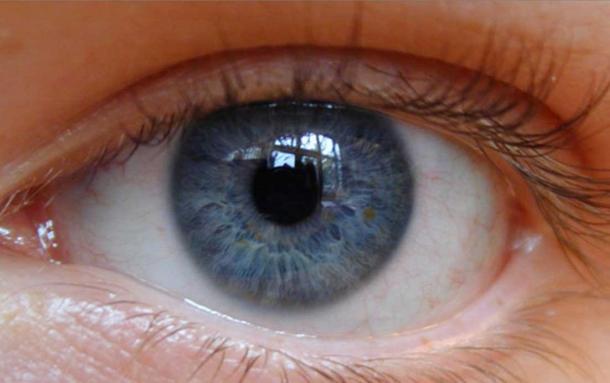 Blue eyes arose as a genetic mutation about 10,000 years ago.