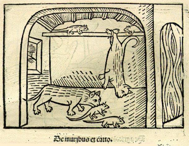 An illustration of "The Cat and the Mice" from a 1501 German edition of Aesop's Fables.