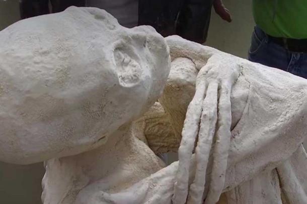 Close up of skull and three, long fingers on the body. 