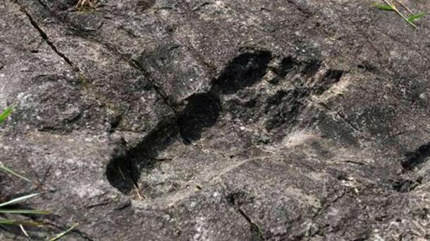 Close up of the alleged giant’s footprint.