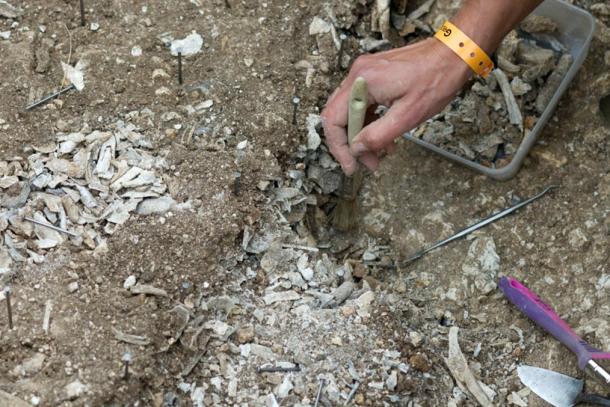 Excavating in 2008.