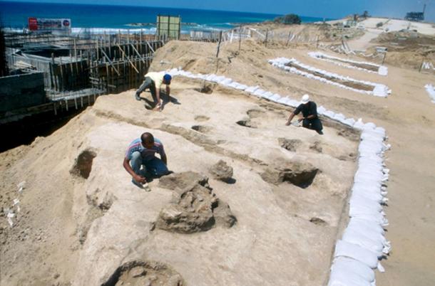An Excavation taking place in Ashkelon, Israel