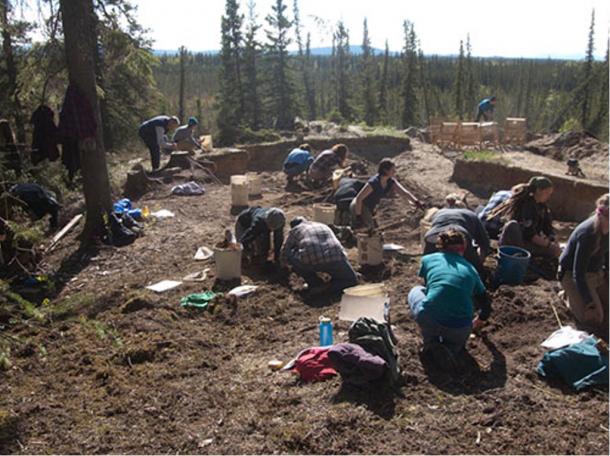 Excavationists trabajan en el sitio de Mead en Alaska donde se han encontrado colgantes de 12.300 años de antigüedad.  