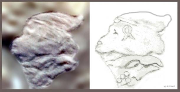 FIGURES 5 and 5a: A petroglyph, located on Marambio Island in the north-west corner of the Antarctic, has a most unusual monkey-face profile, subtending the head of an eagle. The head is marked with an open loop GIS symbol on the left cheek. Three circles (stones) are conjoined at the rear of the eagle's head. A date perhaps?