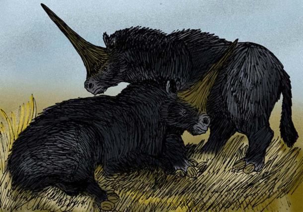 An artist’s interpretation of the "Giant Unicorn" rhinoceros, Elasmotherium sibiricus of Pleistocene Siberia.