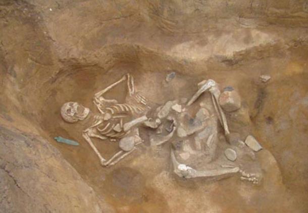 Giant skeleton nicknamed 'Goliath' found in Santa Mare, Romania 