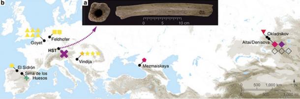 (a) Pictures of the HST femur, (b) map of archaeological sites where complete mtDNA from archaic humans were reconstructed
