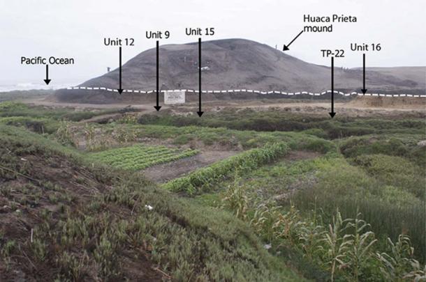 Huaca Prieta mound situated on the Sangamon Terrace (buried terrace surface with Late Pleistocene and Early Holocene cultural deposits is indicated by dotted line below the mound).