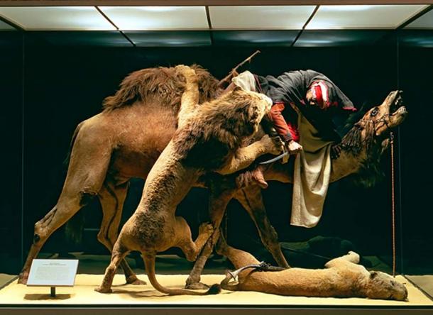 Houston Museum Of Natural Science Camel Statue Houston Museum Of Natural Science Camel Statue
