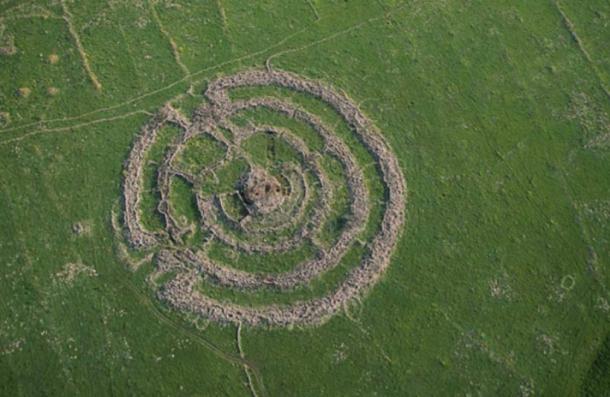 Livestock grazing nearby reveals scale of enormous stone rings on the plains of the Golan Heights.