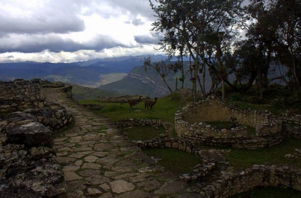 Llamas disfrutando de las ruinas de la ciudadela de Kuelap, en el Perú.