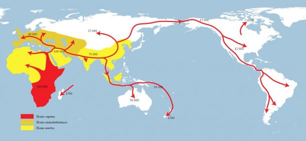 Map of early human migrations. Homo sapiens (red), Neanderthals (yellow-green), early hominids (yellow).
