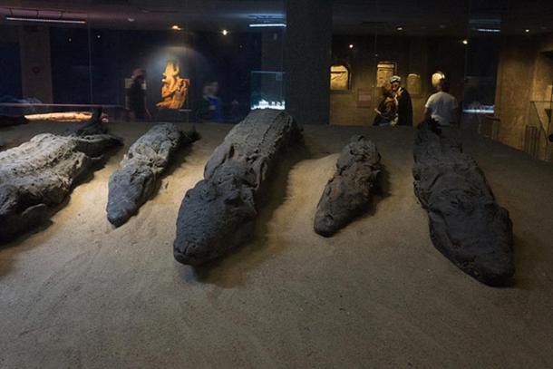 Mummified crocodiles that were offered to Sobek by worshippers.
