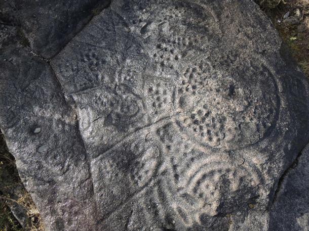 Petroglyph with circles and lines, Vigo, Spain